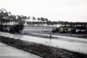 005 - AVUS Galerie 02: Südkurve Projekt