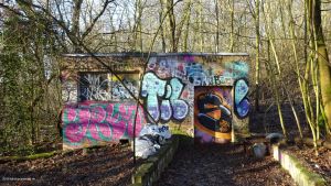 2016-12-30-teufelsberg-weinhang-dsc00872-klein