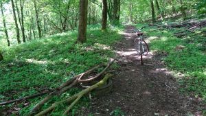 2017-05-11-teufelsberg-dsc01302-klein