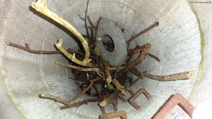 2017-05-11-teufelsberg-dsc01305-klein