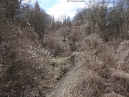2013-04-14-teufelsberg-capy-104-klein