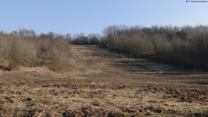 2011-02-26-cimg1840-klein