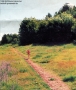 1998-rw-grunewald-trail-4-klein