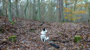 2017-11-23-thorshammer-dsc02857-klein
