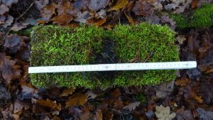 2017-11-23-thorshammer-dsc02865-klein
