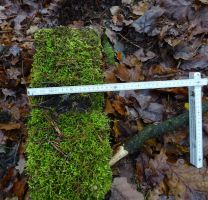 2017-11-23-thorshammer-dsc02870-klein