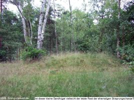 2006-06-25-cimg9185-klein