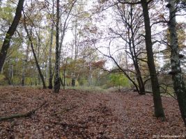 2012-11-04-torfgraben-056-klein