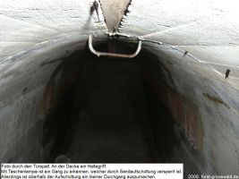 2006-07-17-cimg9477-klein