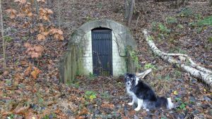 2012-11-04-torfgraben-022-klein