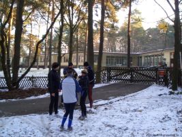 2005-11-27-cimg5594-klein