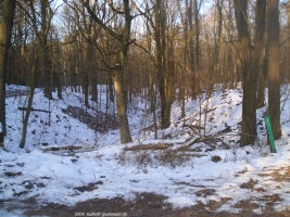 2006-01-15-cimg6654-russenbruecke-klein