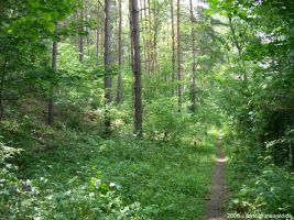 2006-06-25-cimg9152-klein