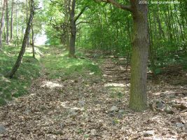 2006-06-25-cimg9167-klein