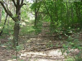 2006-06-25-cimg9168-klein