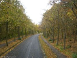 2006-10-29-cimg1665-klein