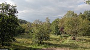 2011-10-06-dsc05930-klein-torfgraben