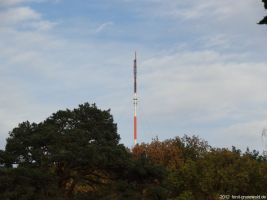 2012-11-04-torfgraben-012-klein