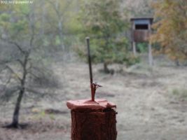 2012-11-04-torfgraben-028-klein