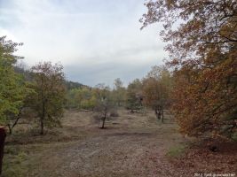 2012-11-04-torfgraben-030-klein