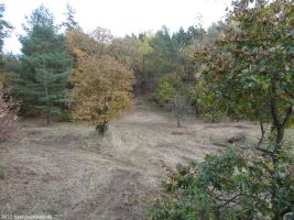 2012-11-04-torfgraben-033-klein