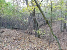 2012-11-04-torfgraben-036-klein