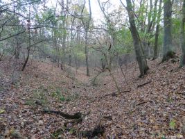 2012-11-04-torfgraben-040-klein