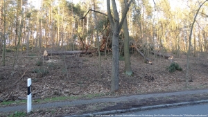 2014-02-12-dsc09169-klein