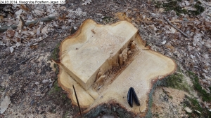 2014-03-24-kiesgrube-postfenn-092