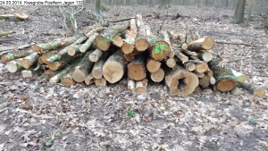 2014-03-24-kiesgrube-postfenn-096