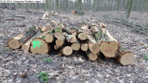 2014-03-24-kiesgrube-postfenn-097