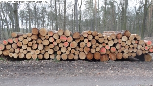 2014-03-24-kiesgrube-postfenn-098