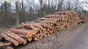 2014-03-24-kiesgrube-postfenn-099