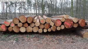 2014-03-24-kiesgrube-postfenn-100