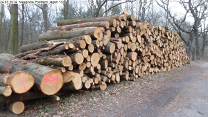 2014-03-24-kiesgrube-postfenn-101