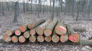 2014-03-24-kiesgrube-postfenn-103