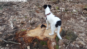 2014-03-24-kiesgrube-postfenn-105