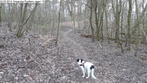 2014-03-24-kiesgrube-postfenn-063