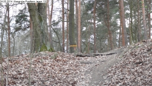 2014-03-24-kiesgrube-postfenn-064
