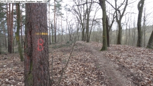 2014-03-24-kiesgrube-postfenn-065