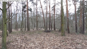 2014-03-24-kiesgrube-postfenn-066