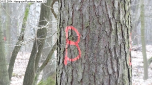 2014-03-24-kiesgrube-postfenn-068