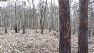 2014-03-24-kiesgrube-postfenn-069