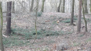 2014-03-24-kiesgrube-postfenn-070