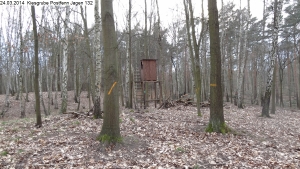 2014-03-24-kiesgrube-postfenn-071