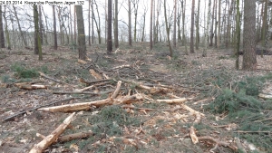 2014-03-24-kiesgrube-postfenn-075