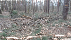 2014-03-24-kiesgrube-postfenn-076