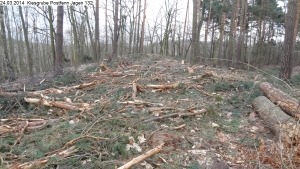 2014-03-24-kiesgrube-postfenn-077