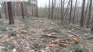 2014-03-24-kiesgrube-postfenn-078