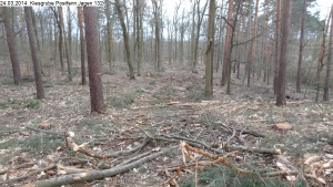 2014-03-24-kiesgrube-postfenn-081